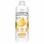 Л-Карнитин Healthy's L-Carnitine 3000, 1005 мл, Ананас