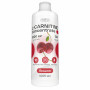 Л-Карнитин Healthy's L-Carnitine 3000, 1005 мл, Вишня