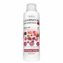 Л-Карнитин Healthy's L-Carnitine 3000, 503 мл, Лесные ягоды