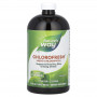 Хлорофилл жидкий Nature's Way Chlorofresh, 480 мл, Нейтральный