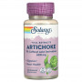 Экстракт из листьев артишока Solaray Artichoke, 300 мг, 60 капсул