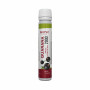 Гуарана Bionic Guarana 2000, 25 мл, 1 ампула, Черная смородина