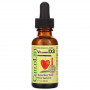 Витамин Д3 для детей ChildLife Vitamin D3, 30 мл, Лесные ягоды