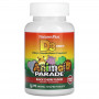 Витамин Д3 для детей без сахара Nature's Plus Animal Parade Vitamin D3 (Sugar Free), 90 жевательных таблеток, Черная вишня