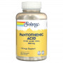 Пантотеновая кислота Solaray Pantothenic Acid, 500 мг, 250 растительных капсул