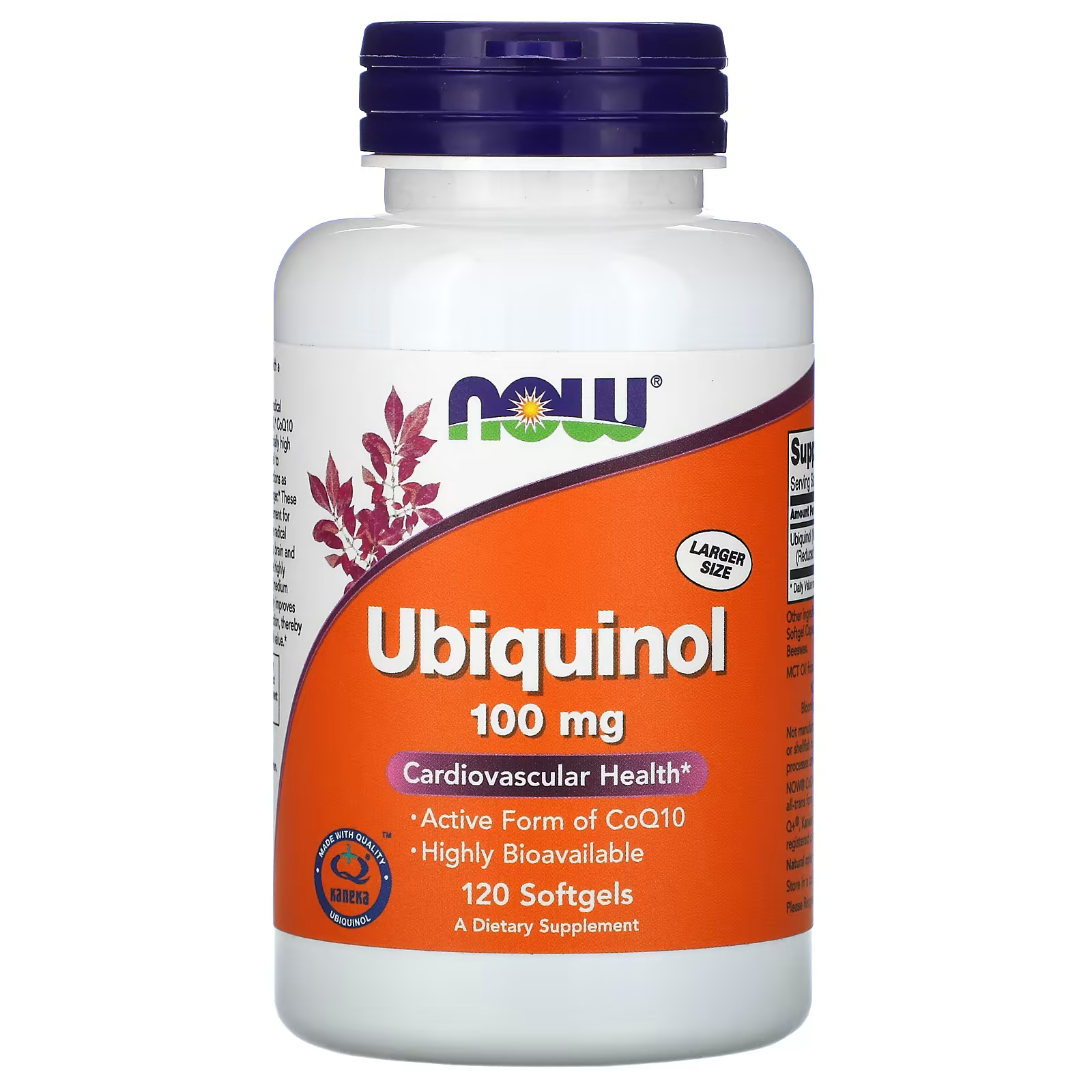 Now true focus. MSM 1000 MG Now (120 кап). Now MSM (1000 мг) 120 капсул. Now Vitamin витамин d3 2000 IU. Now Melatonin 3 мг 60 капсул.